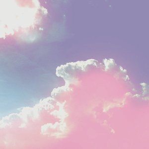 Meet your Posher, Maya